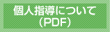 個人指導について（PDF）