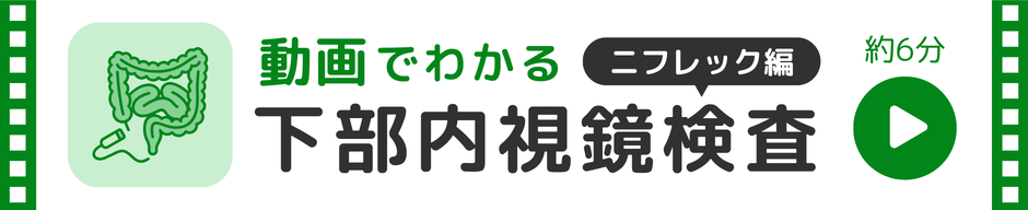 上部内視鏡検査　ニフレック